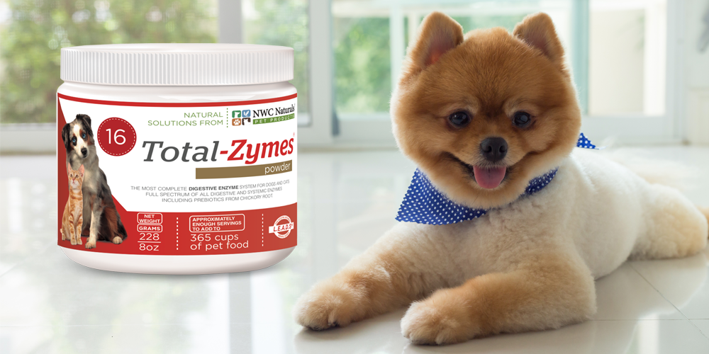 Why doesn’t Total-Zymes® contain pepsin?