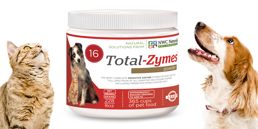 healthy pets need enzymes