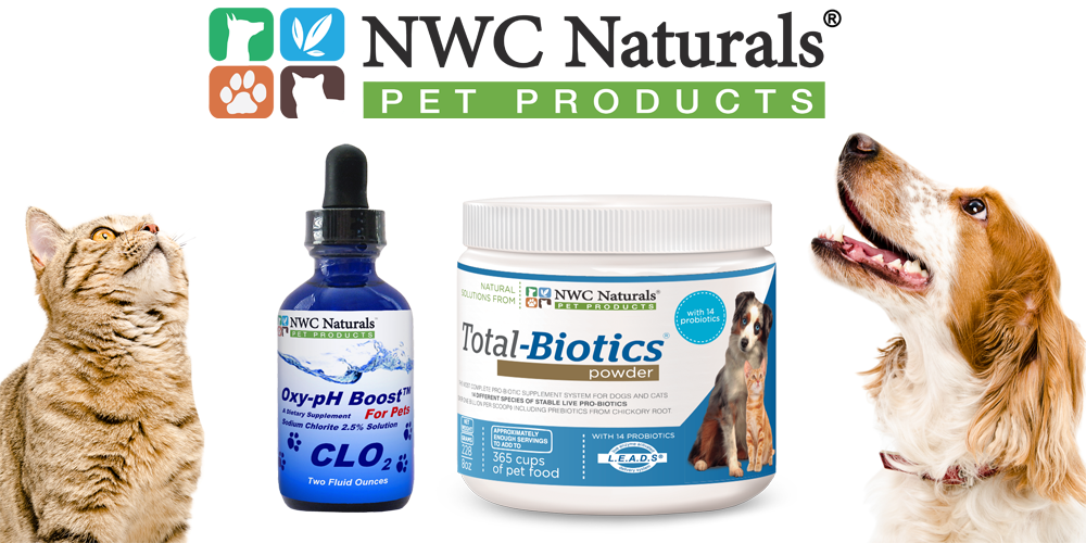 pet supplements for spring