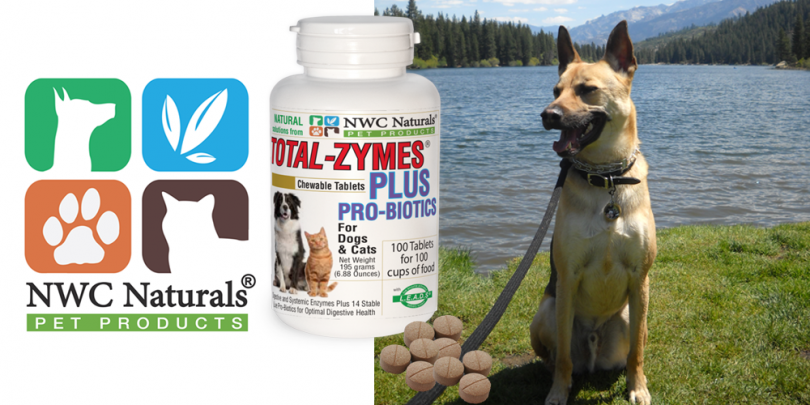 total-zymes plus