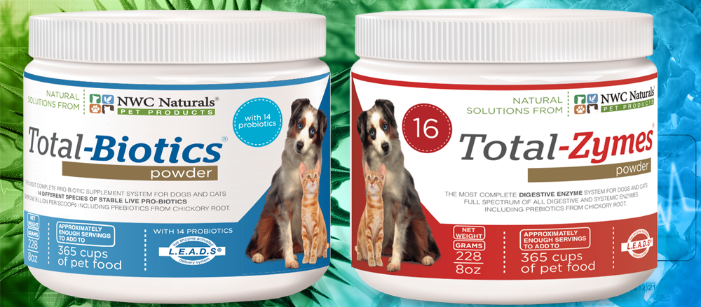 digestive enzymes for pets